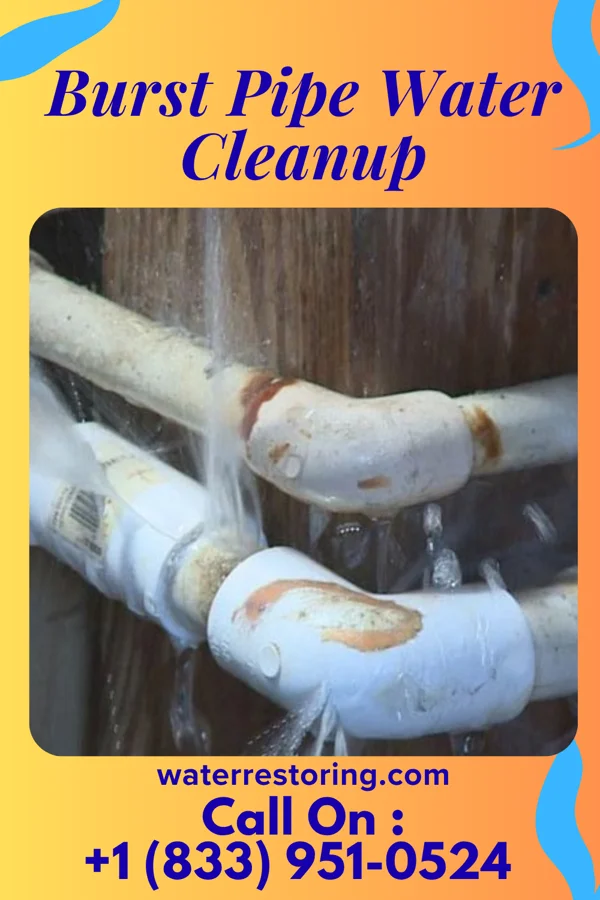 Burst Pipe Water Cleanup in Cadiz, KY