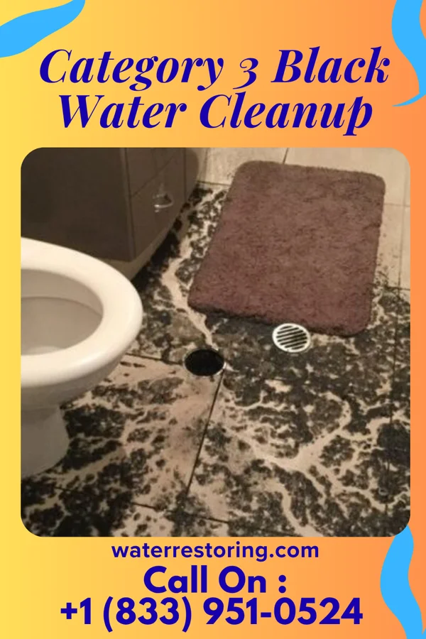 Category 3 Black Water Cleanup in Cadiz, KY