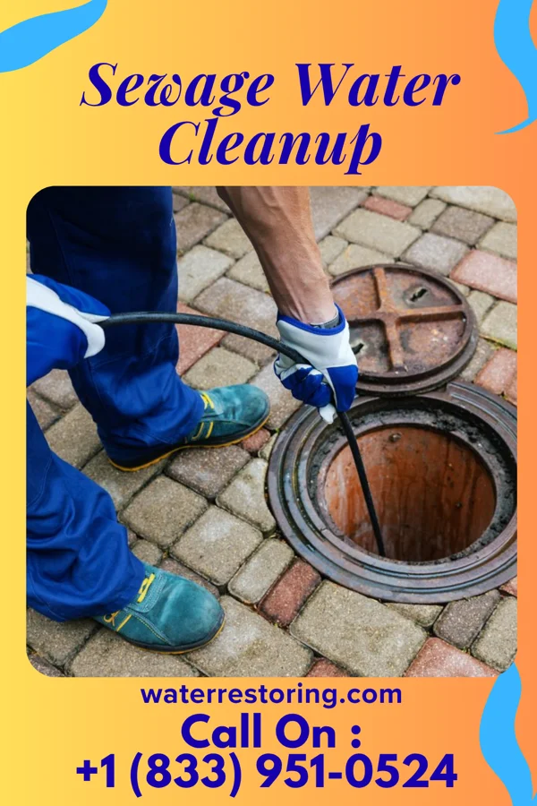 Sewage Water Cleanup in Cadiz, KY