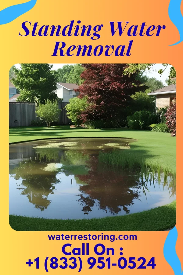 Standing Water Removal in Cadiz, KY